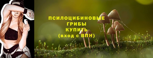 прущие крисы Алексин