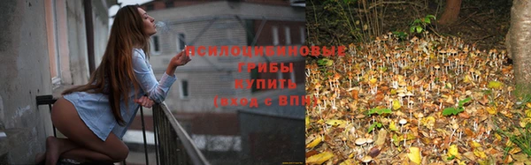 эйфоретик Абдулино